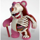 Illustration for article titled These sculptures reveal the muscles, bones, and organs inside toys
